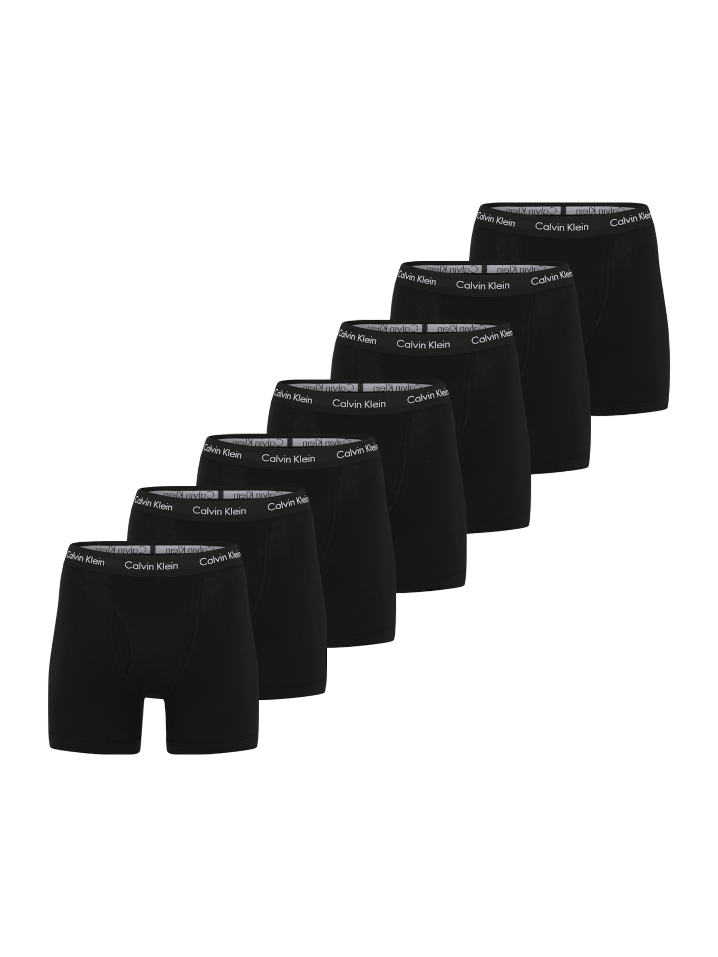 CALVIN KLEIN UNDERWEAR Boxer trumpikės