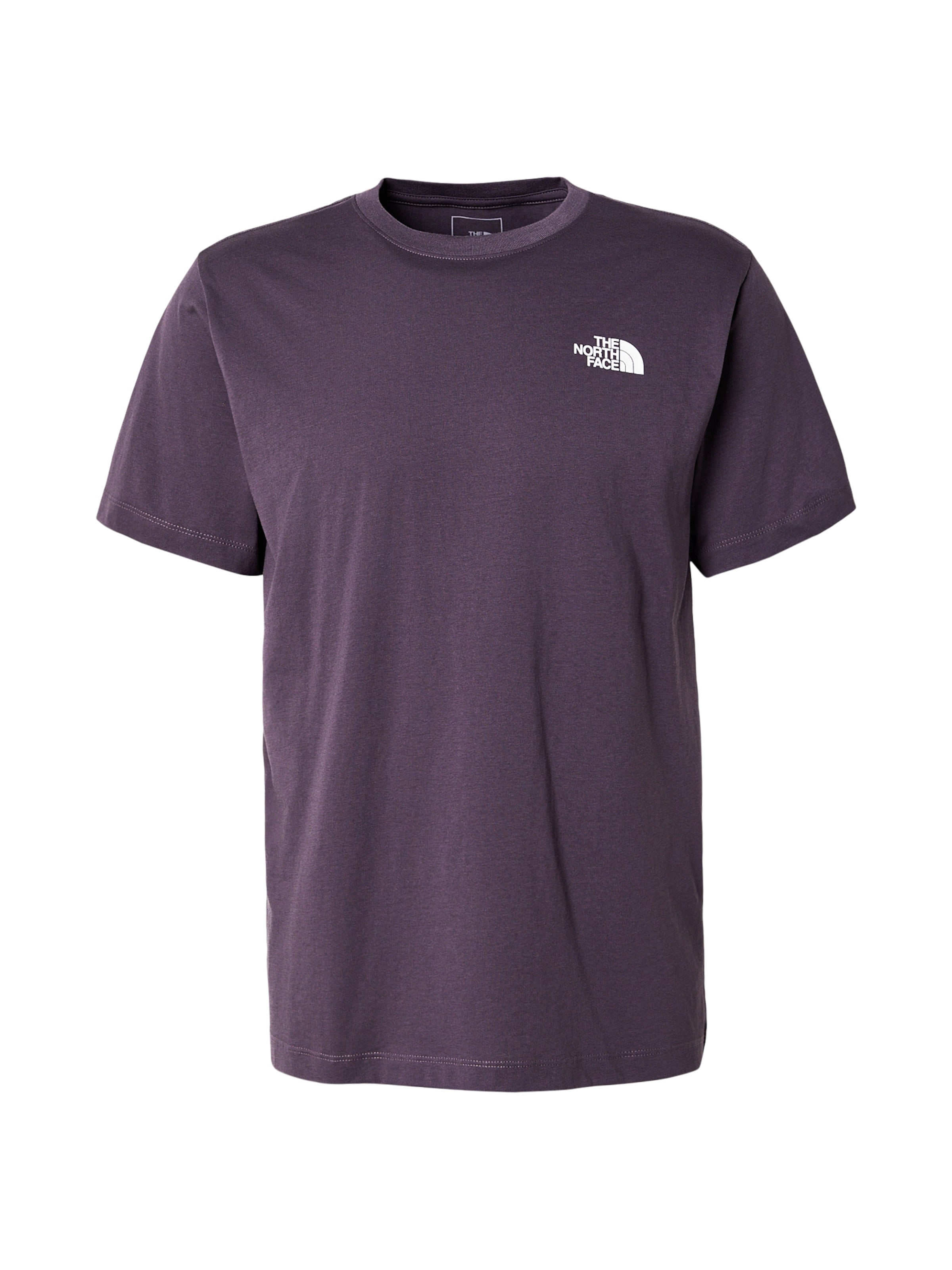 THE NORTH FACE Marškinėliai 'EVOLUTION BOX NSE'