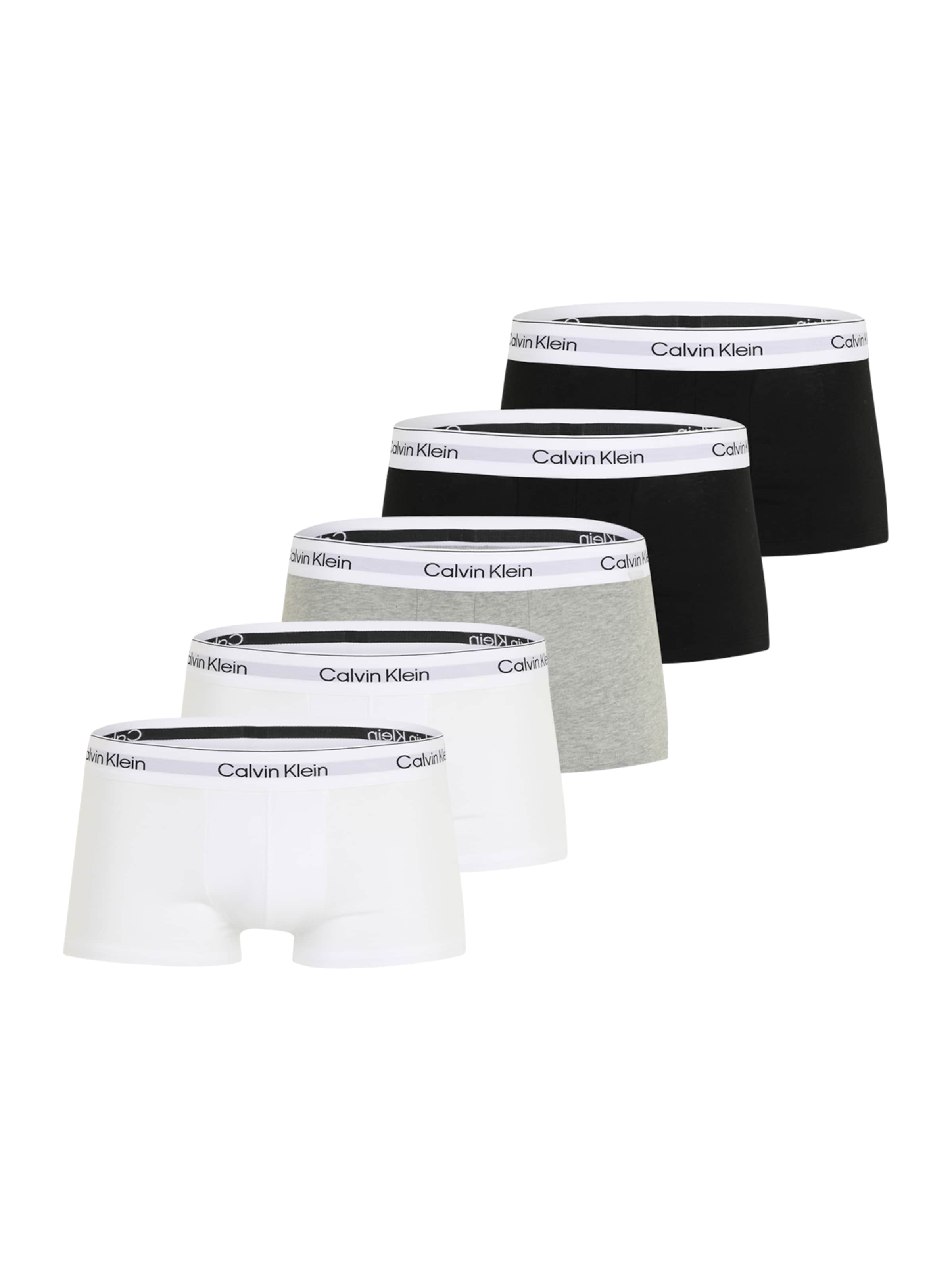 CALVIN KLEIN UNDERWEAR Boxer trumpikės