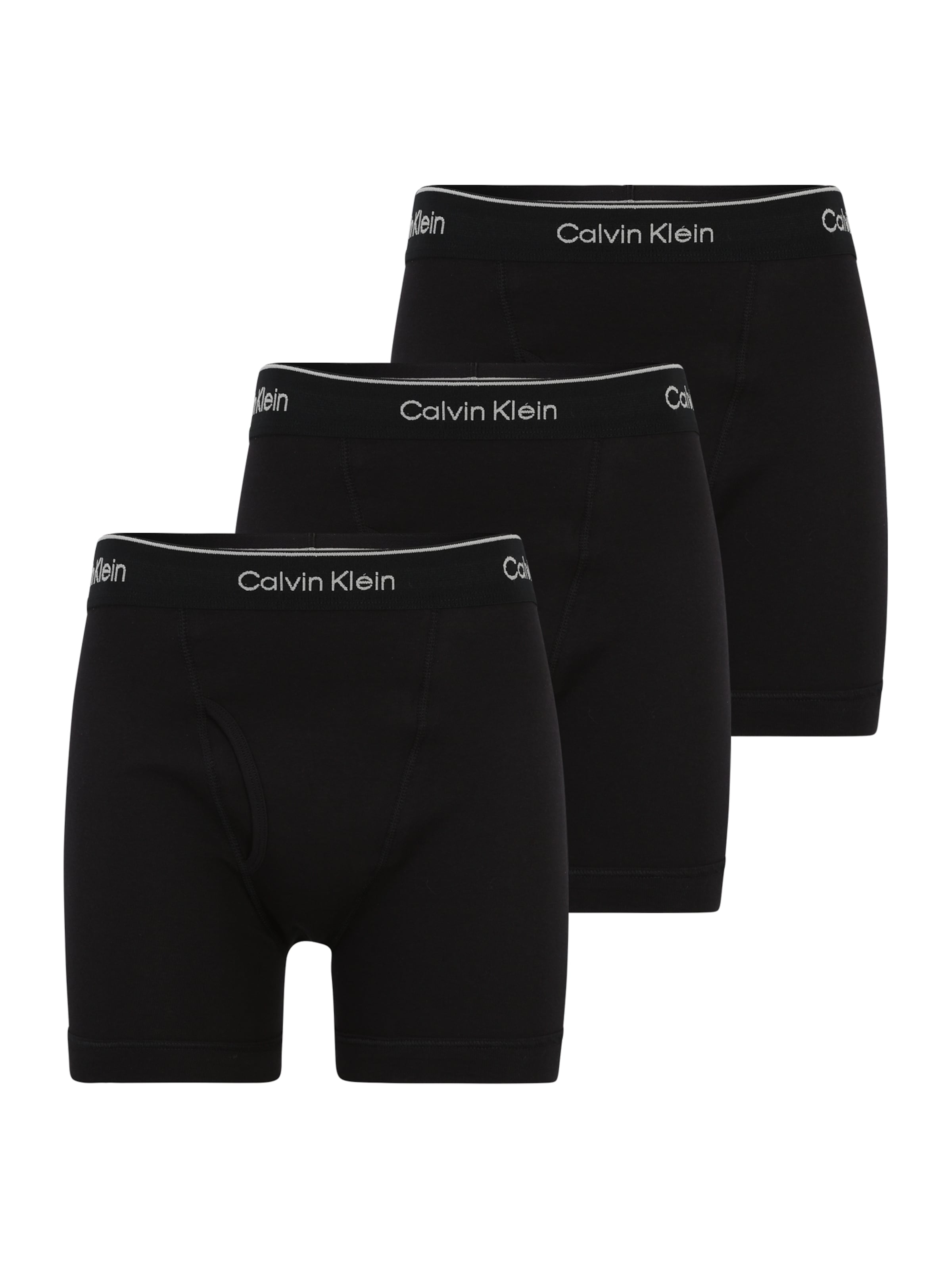 CALVIN KLEIN UNDERWEAR Boxer trumpikės
