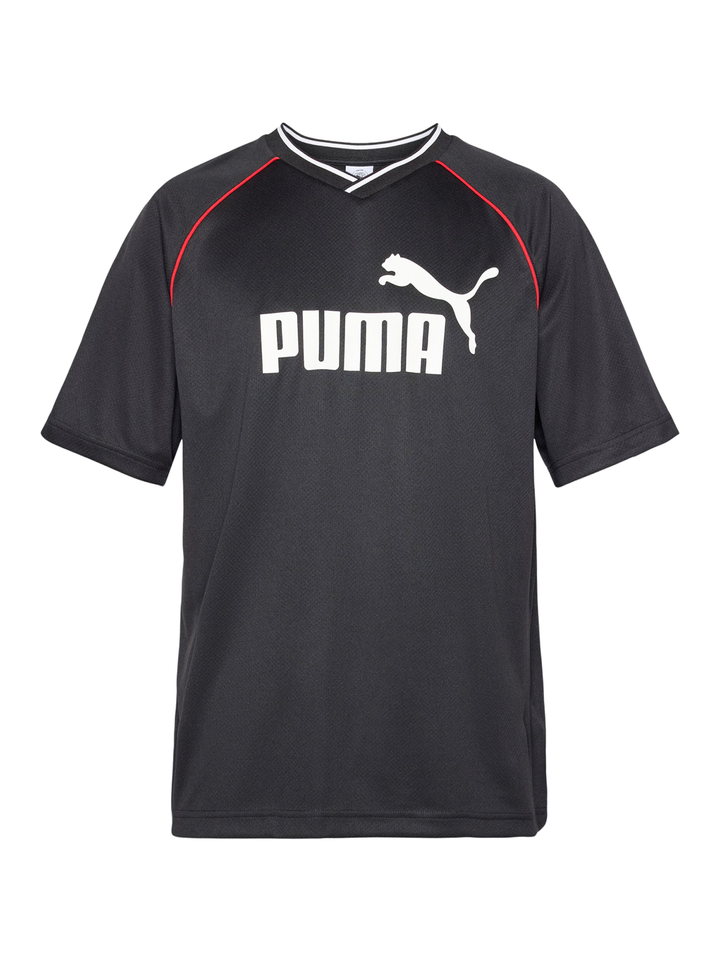 PUMA Sportiniai marškinėliai 'Essentials'