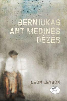 Berniukas ant medinės dėžės